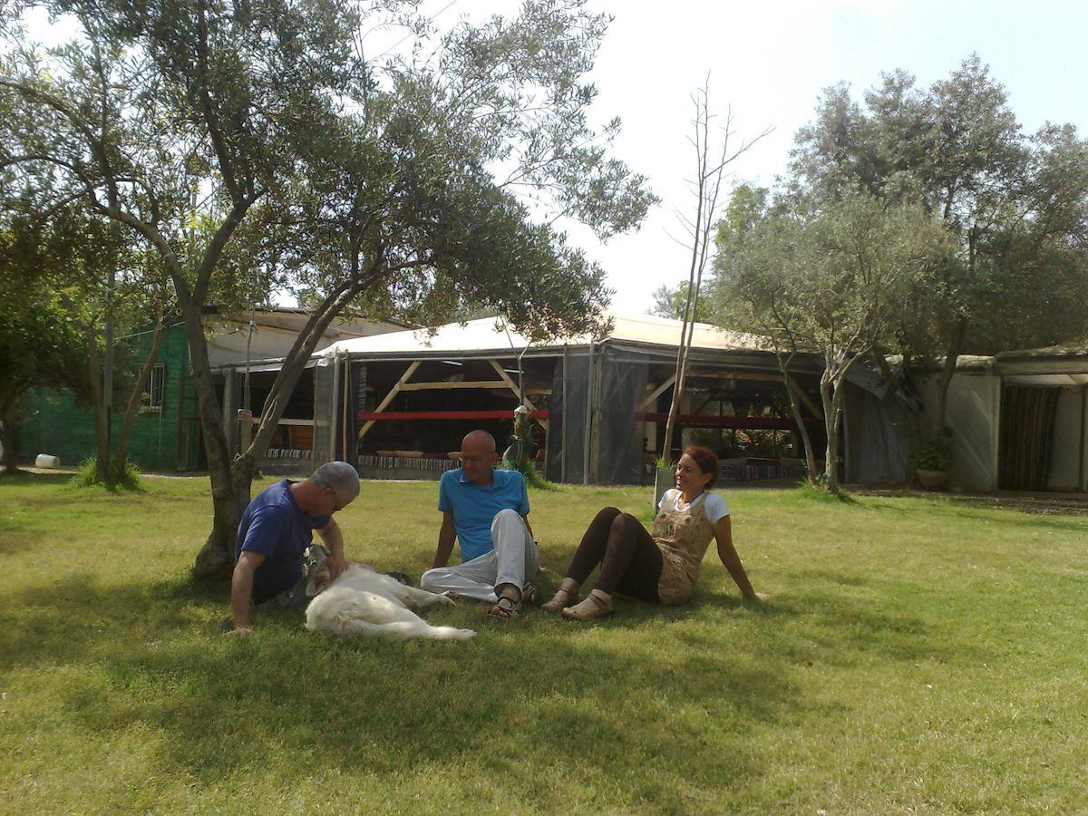 Willa Peace Tent Kfar Rut Pokój zdjęcie
