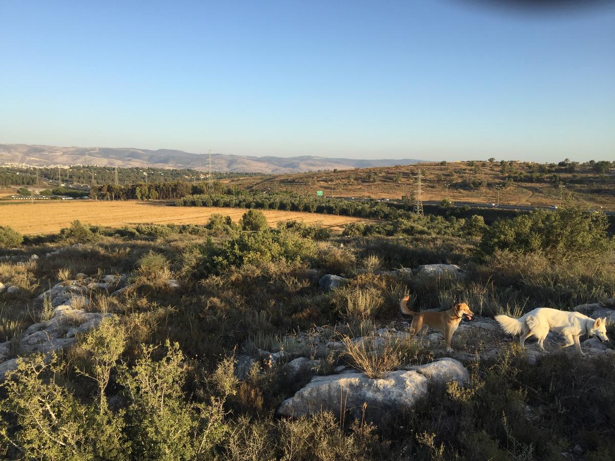 Willa Peace Tent Kfar Rut Zewnętrze zdjęcie