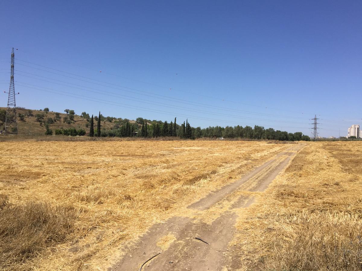 Willa Peace Tent Kfar Rut Zewnętrze zdjęcie