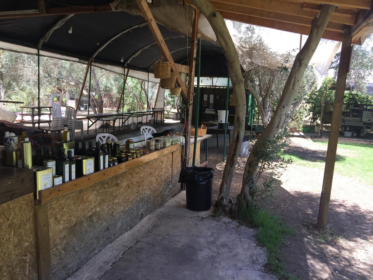 Willa Peace Tent Kfar Rut Zewnętrze zdjęcie